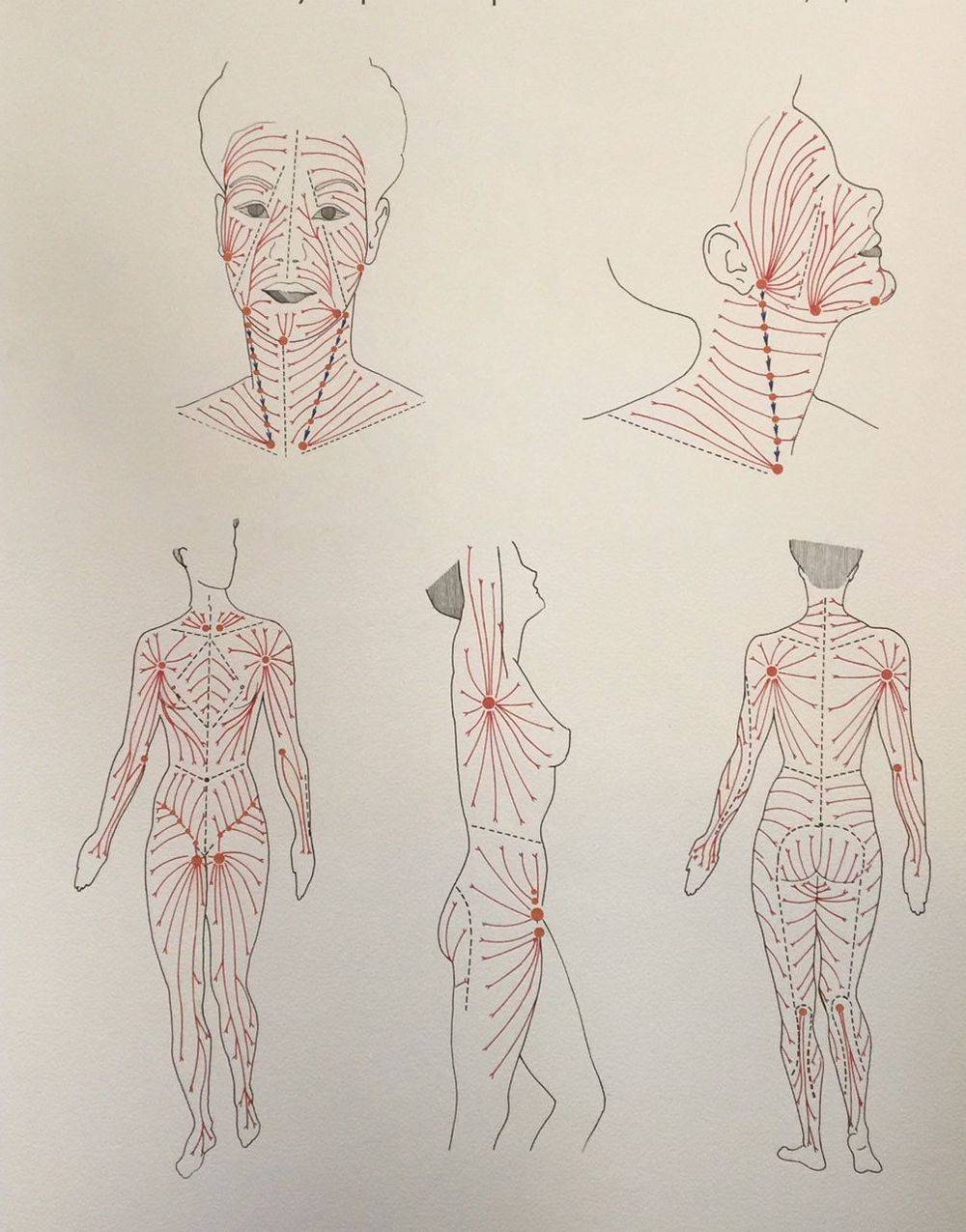 Drainage Lymphatique